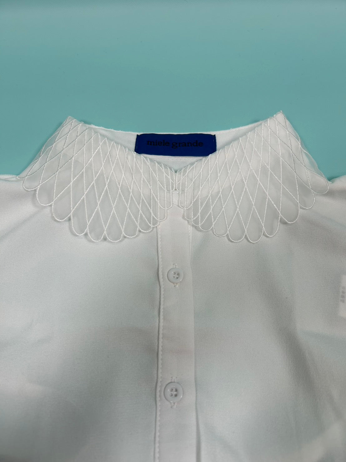 angel wings false collar