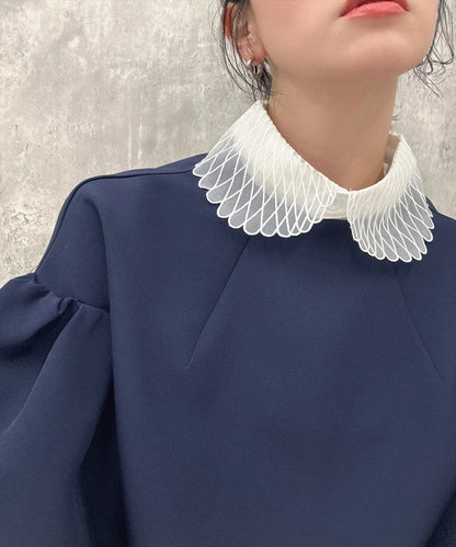 angel wings false collar