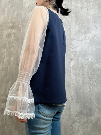 organdy seethrough blouse