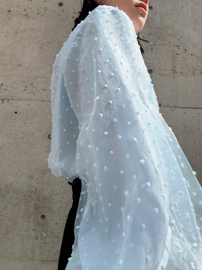 dot organdy blouse