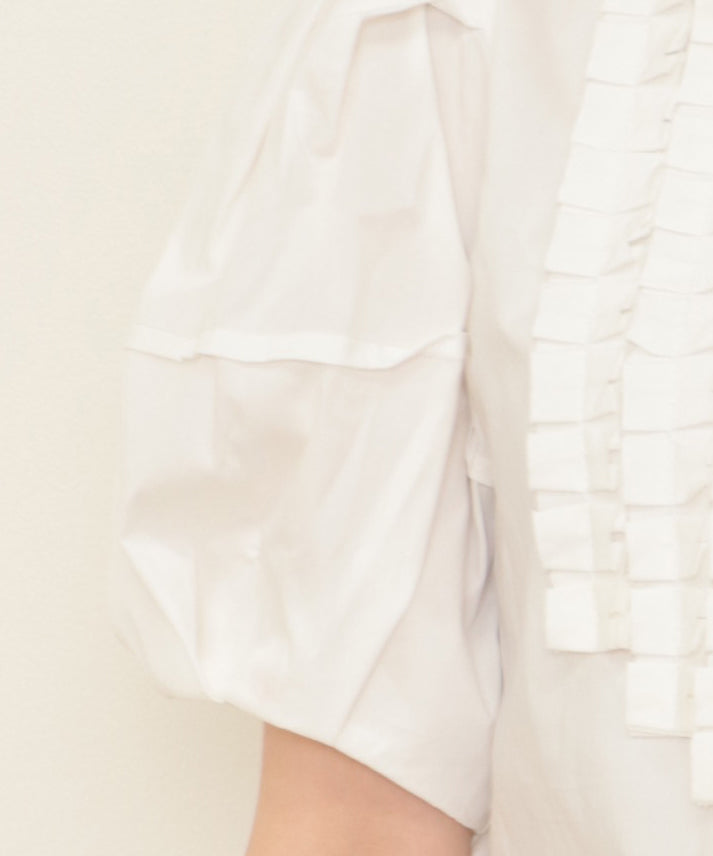 puff sleeves with tack blouse