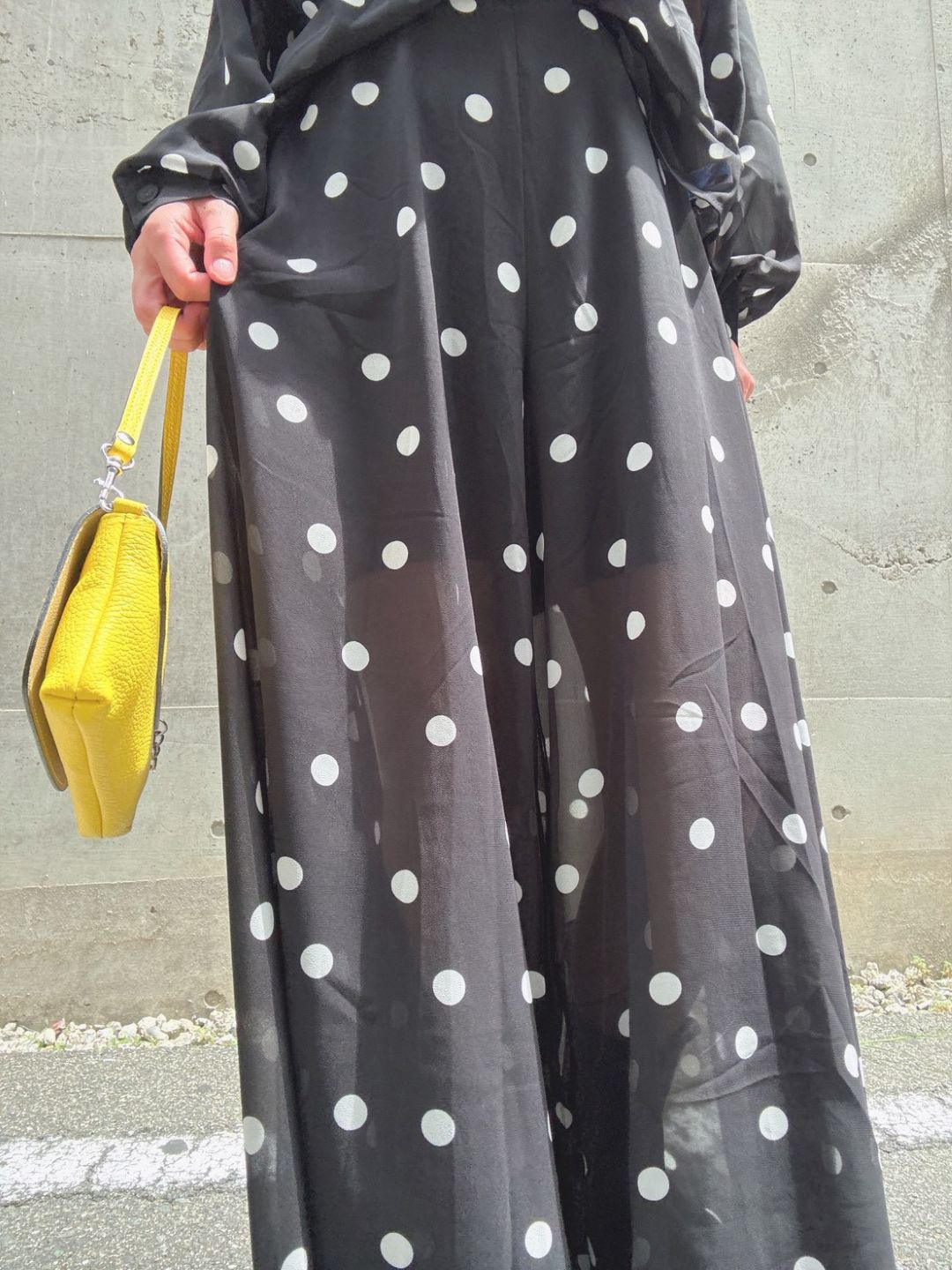 dot 2way blouse＆widepants set up