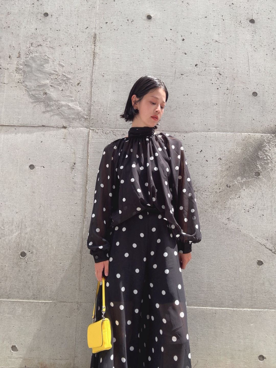 dot 2way blouse＆widepants set up