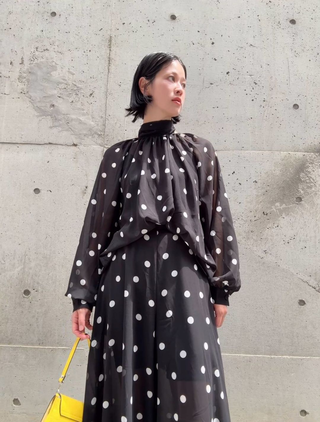 dot 2way blouse＆widepants set up