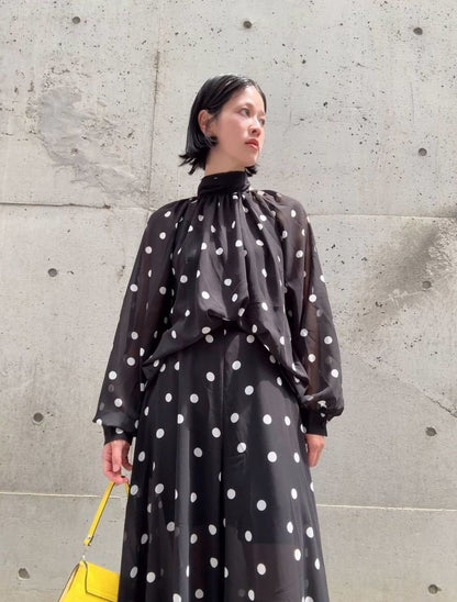 dot 2way blouse＆widepants set up