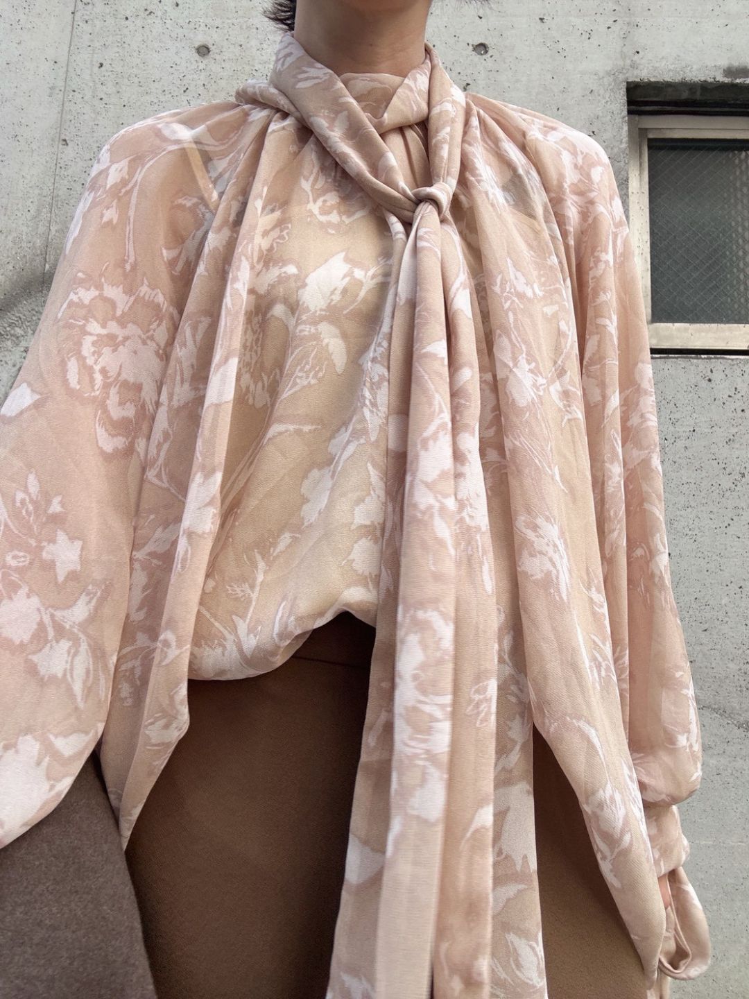 Chiffon Sheer Blouse