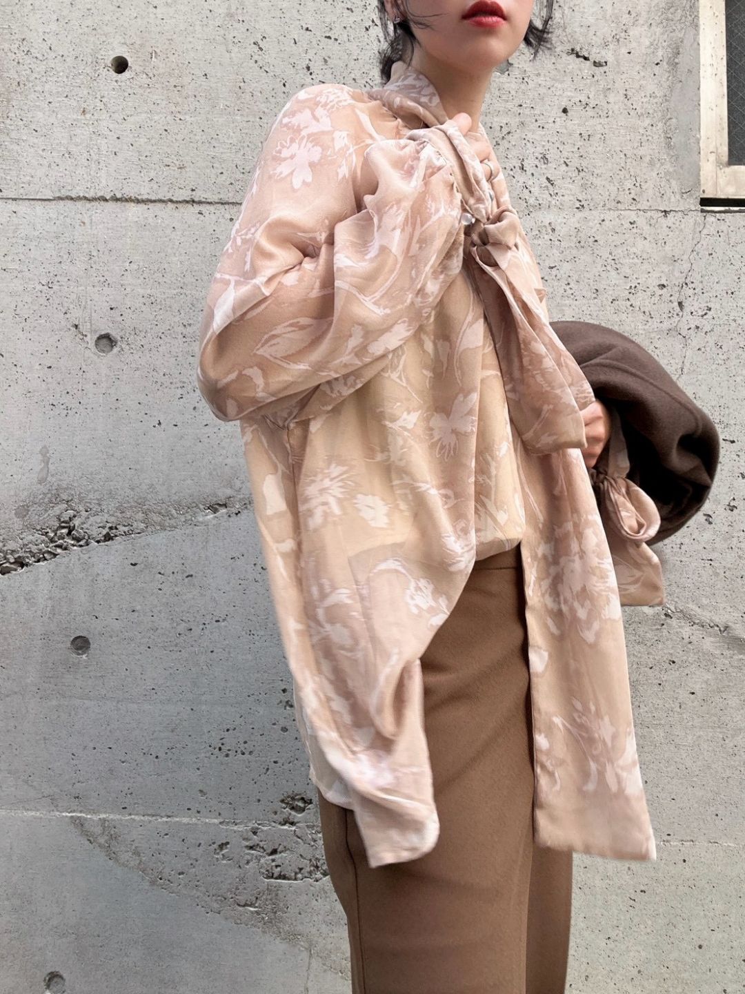 Chiffon Sheer Blouse